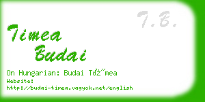 timea budai business card